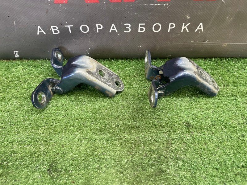 Петли двери Kia Ceed 1 2010 ED