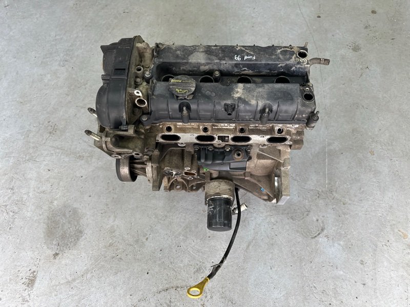 Двигатель Ford Focus 3 HB 2012 CB8