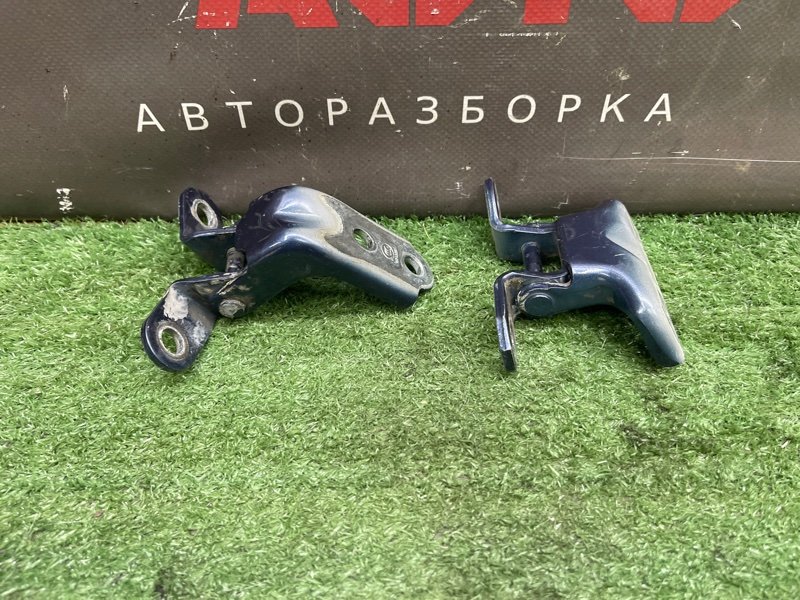 Петли двери Kia Ceed 1 2010 ED