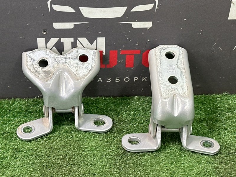 Петли двери Kia Rio X 2020