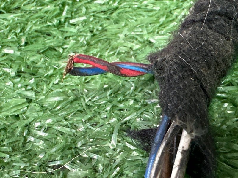 Проводка двери BMW 7-Series E65