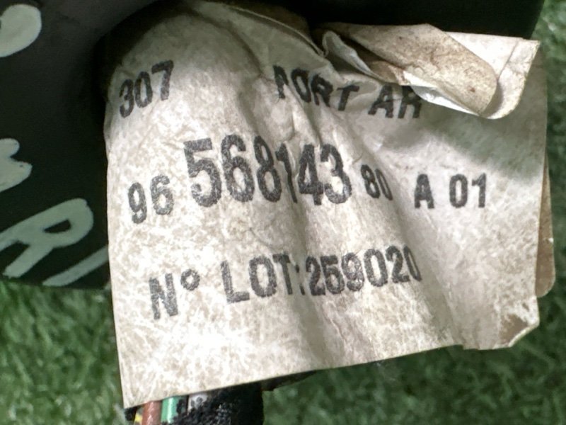 Проводка двери Peugeot 307