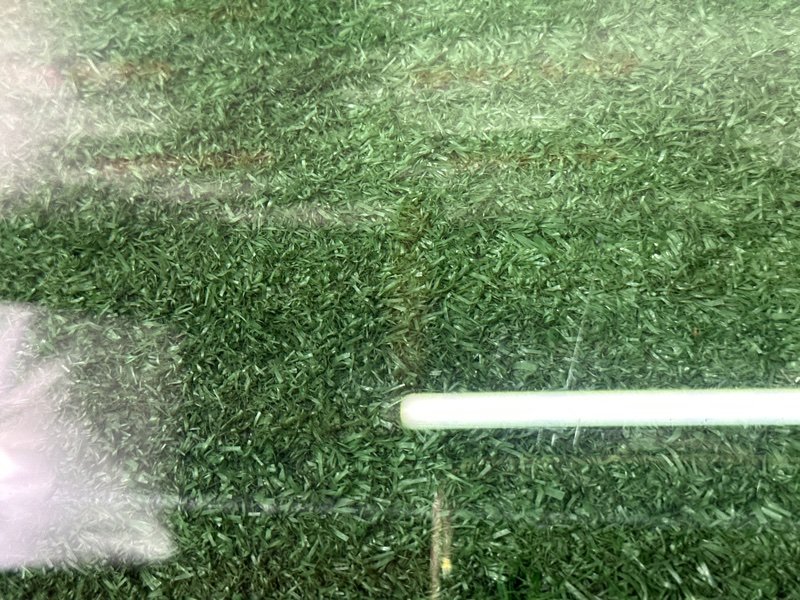 Стекло двери Ford Focus 3 HB 2012 CB8