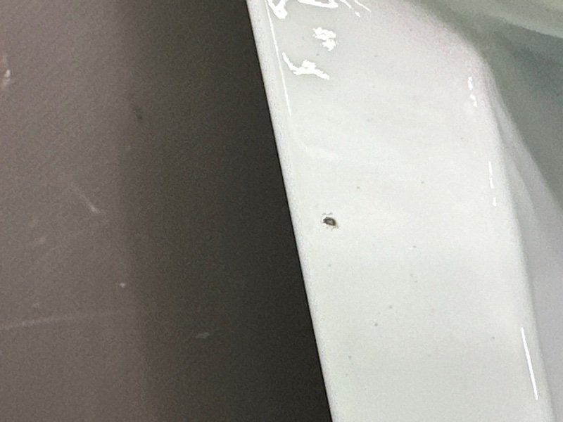 Крышка багажника Hyundai Creta 2018 GS