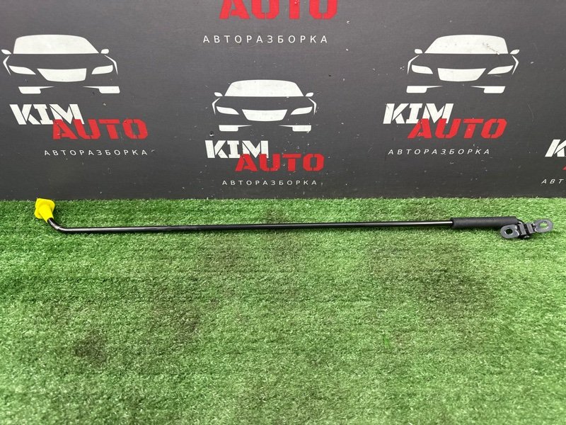 Упор капота Hyundai Creta 2018 GS