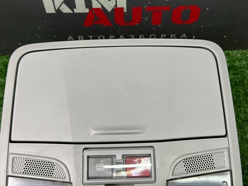 Плафон салонный с футляром для очков(очечник) Hyundai Creta 2018 GS