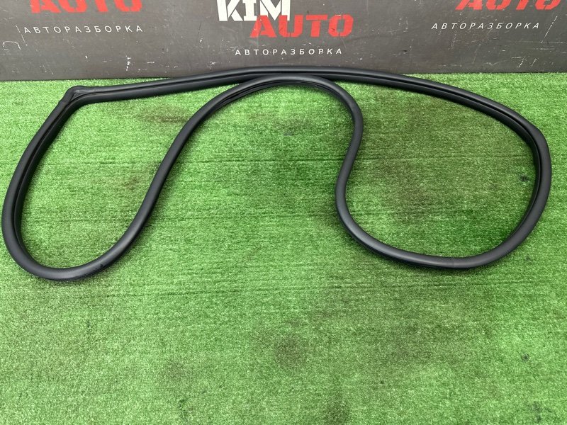 Уплотнитель проема двери Hyundai Creta 2018 GS