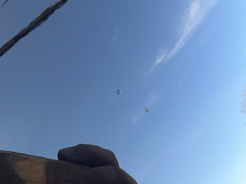 Крыло (четверть) Nissan Murano 2008 Z51