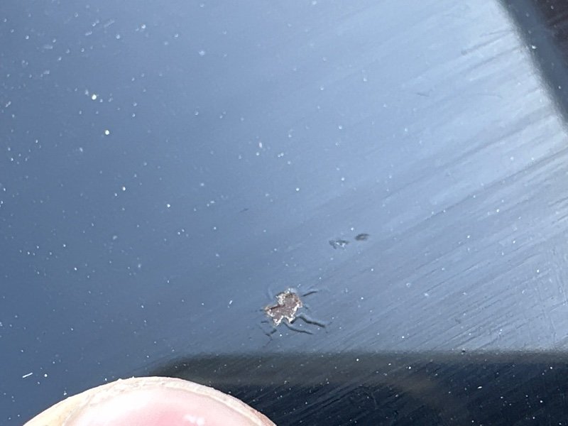 Крыша со стойками Nissan Murano 2008 Z51