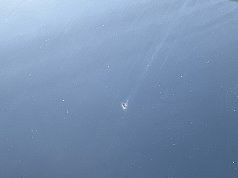 Крыша со стойками Nissan Murano 2008 Z51