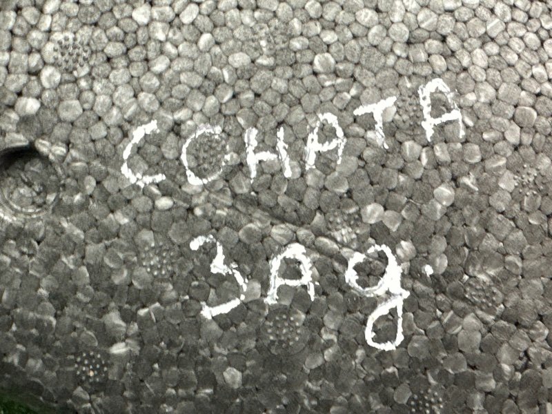 Абсорбер заднего бампера Hyundai Sonata EF