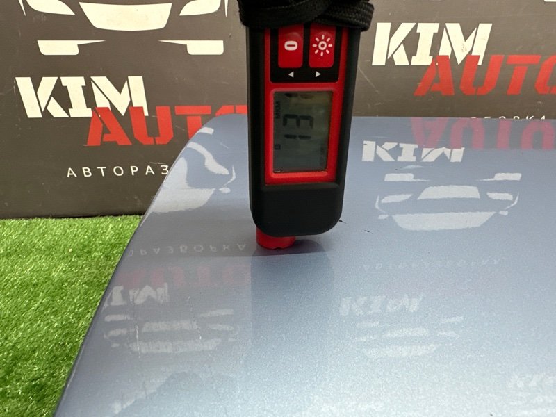 Дверь Fiat Punto