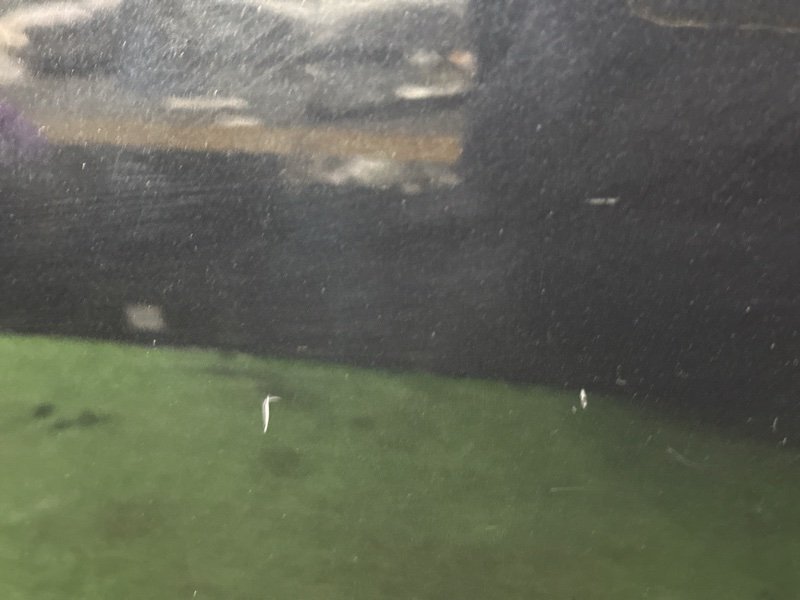 Дверь Opel Astra J