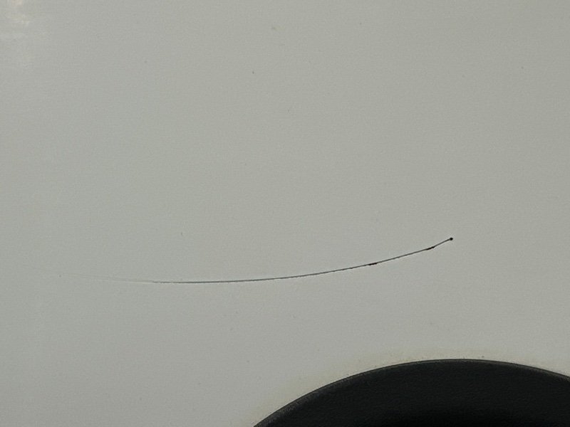 Дверь Fiat Doblo