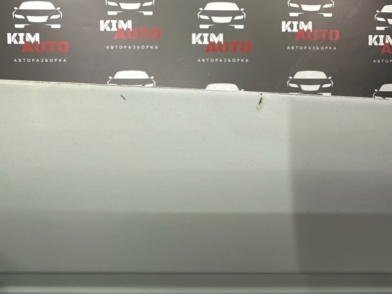 Дверь Fiat Doblo