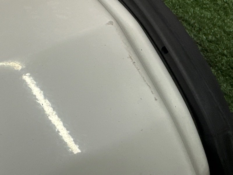 Дверь распашная Fiat Doblo