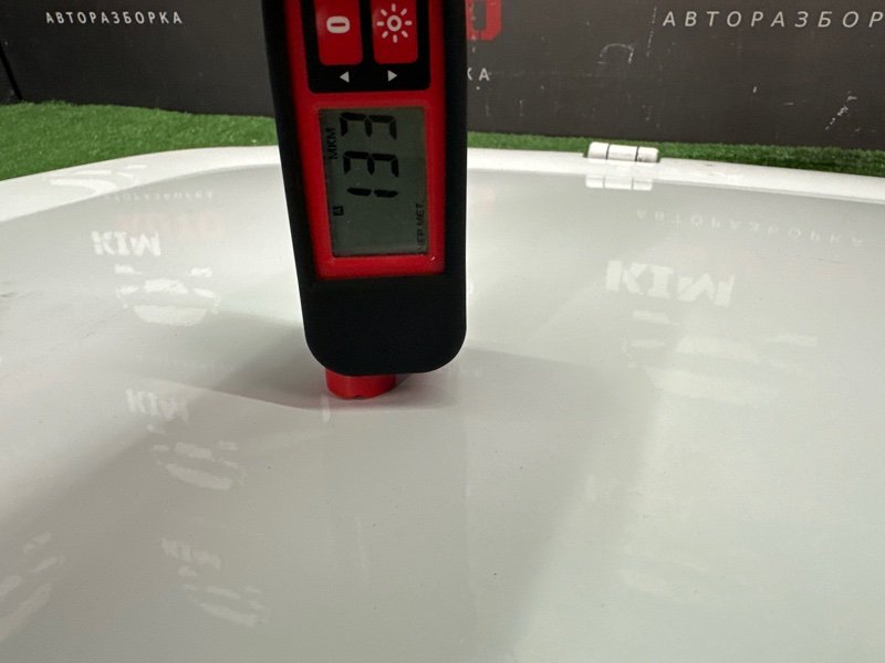 Дверь распашная Fiat Doblo