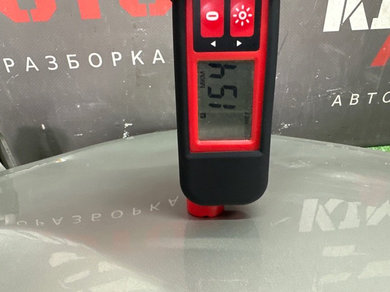 Дверь распашная Lada Largus