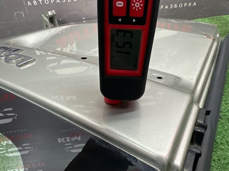 Дверь распашная Lada Largus