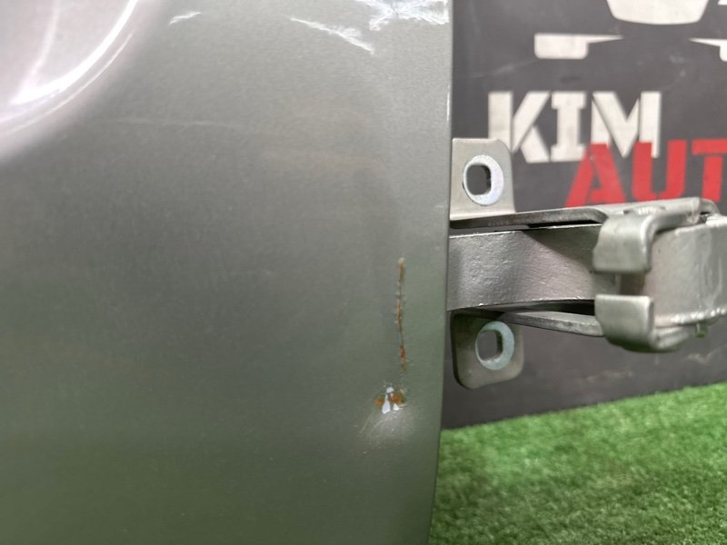 Дверь распашная Lada Largus