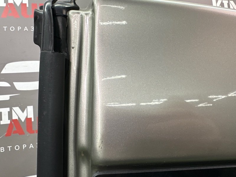 Дверь распашная Lada Largus