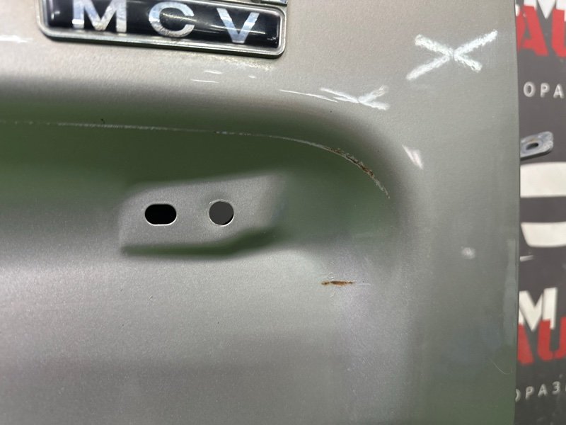 Дверь распашная Lada Largus