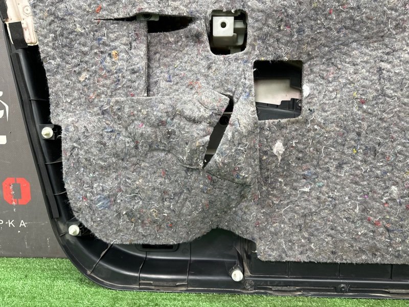 Обшивка двери Nissan Murano 2008 Z51