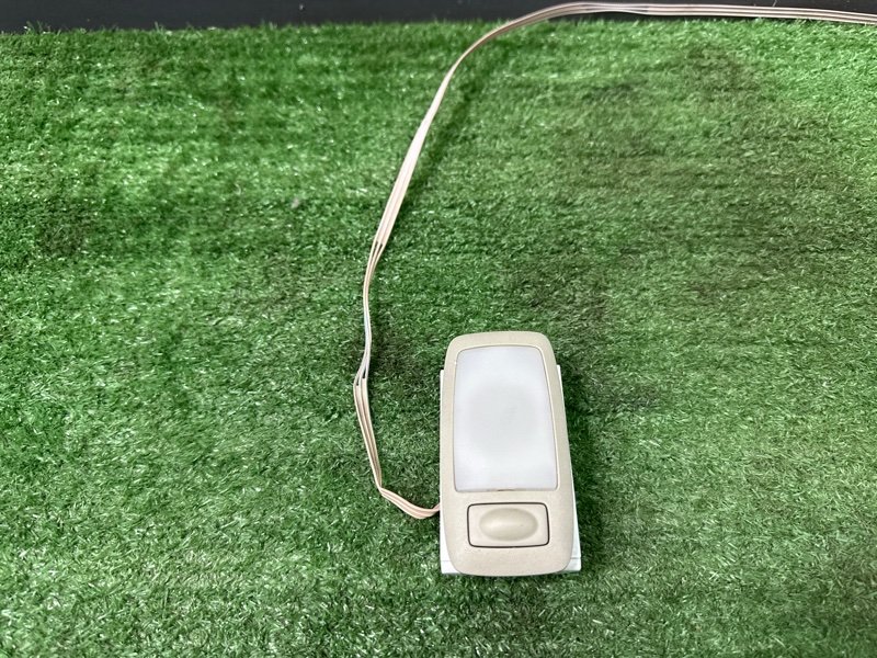 Плафон салонный Nissan Murano 2008 Z51