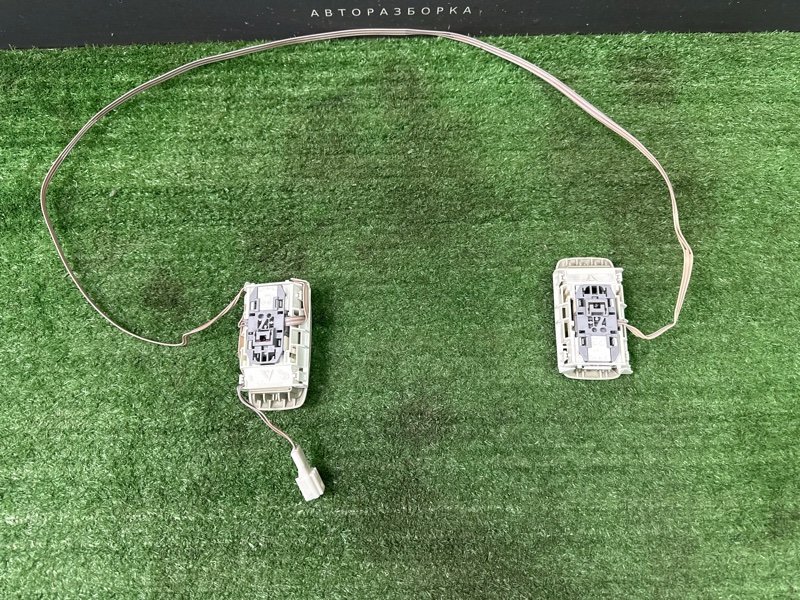 Плафон салонный Nissan Murano 2008 Z51