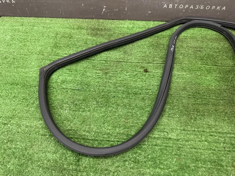 Уплотнитель проема двери Nissan Murano 2008 Z51