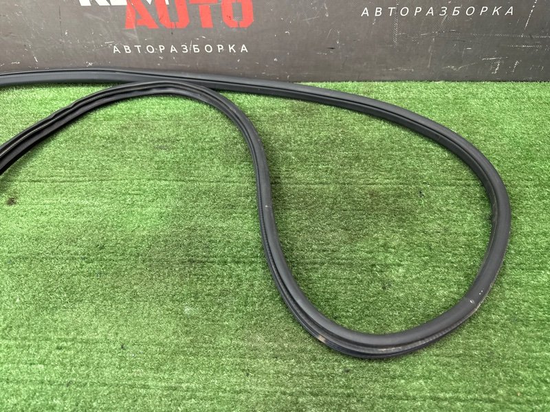 Уплотнитель проема двери Nissan Murano 2008 Z51
