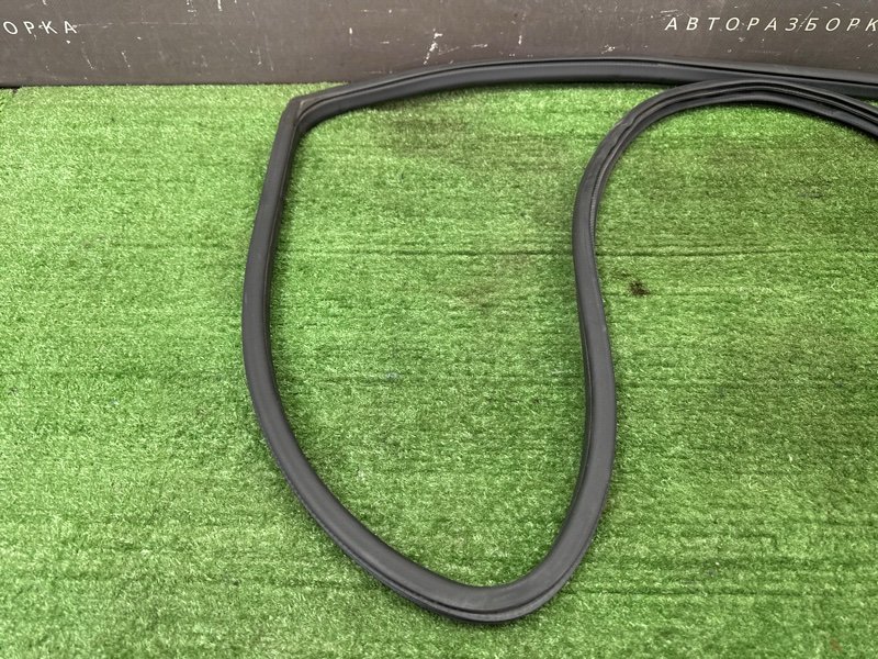 Уплотнитель проема двери Nissan Murano 2008 Z51