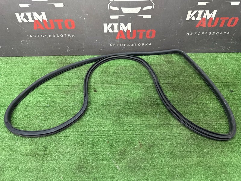 Уплотнитель проема двери Nissan Murano 2008 Z51