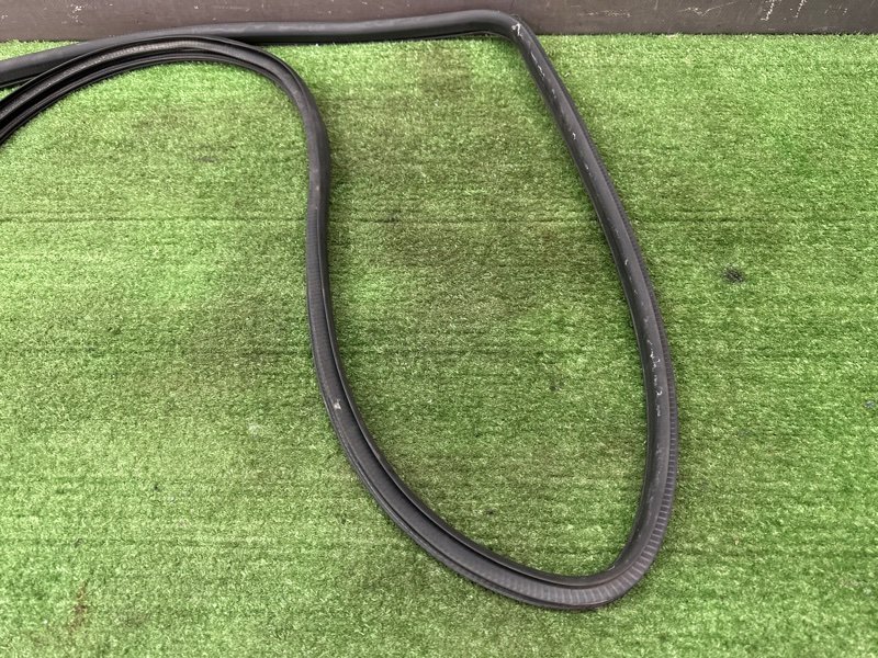 Уплотнитель проема двери Nissan Murano 2008 Z51