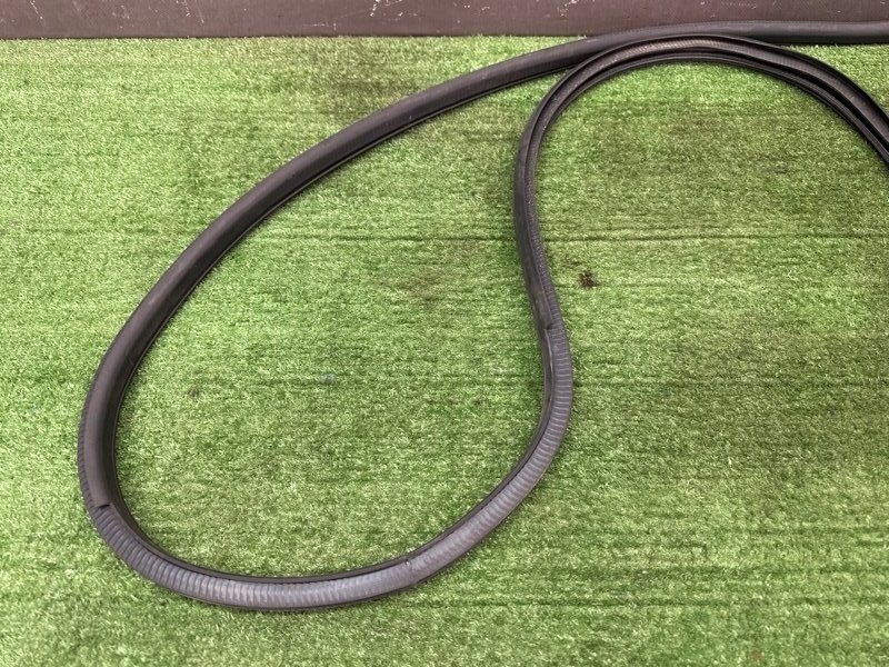 Уплотнитель проема двери Nissan Murano 2008 Z51