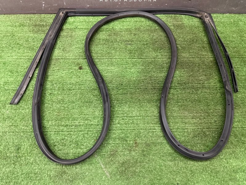 Уплотнитель двери Nissan Murano 2008 Z51