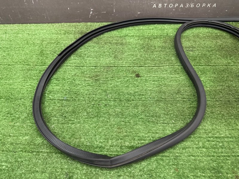 Уплотнитель проема двери Nissan Murano 2008 Z51