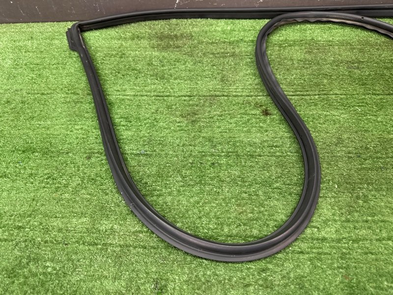 Уплотнитель двери Nissan Murano 2008 Z51