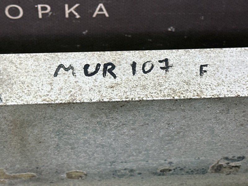 Усилитель бампера Nissan Murano 2008 Z51