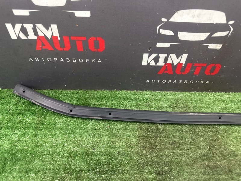 Уплотнитель капота Nissan Murano 2008 Z51