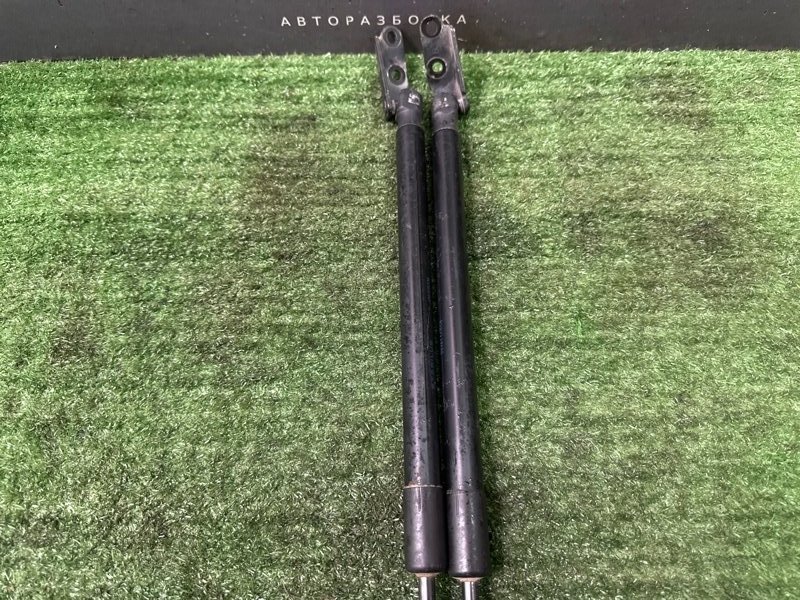 Упор крышки багажника Nissan Murano 2008 Z51