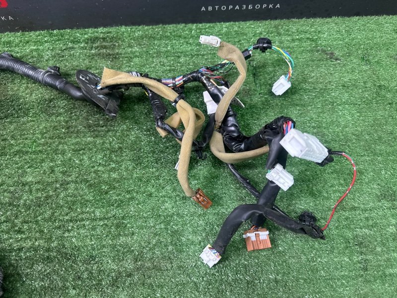 Проводка двери Nissan Murano 2008 Z51