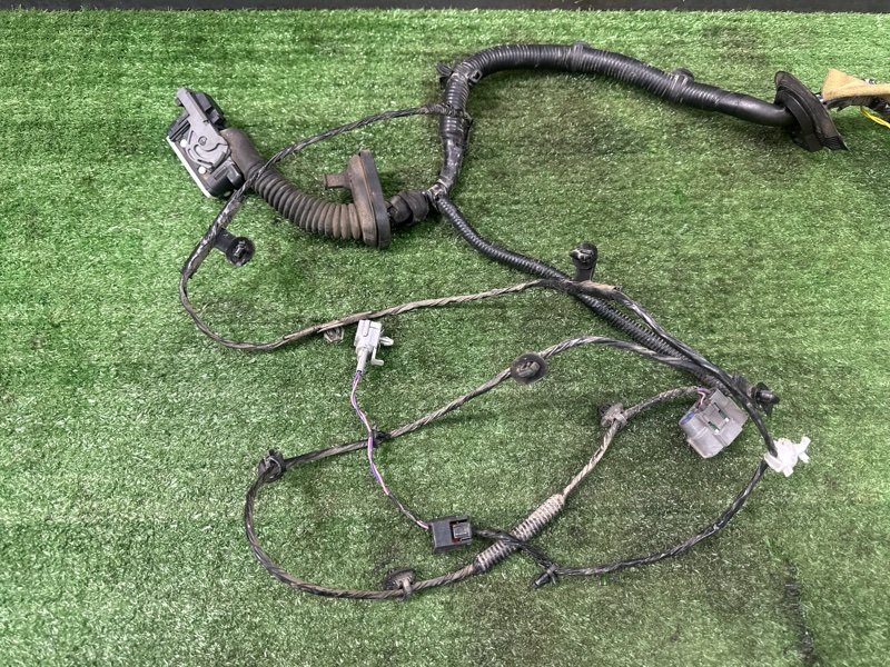 Проводка двери Nissan Murano 2008 Z51