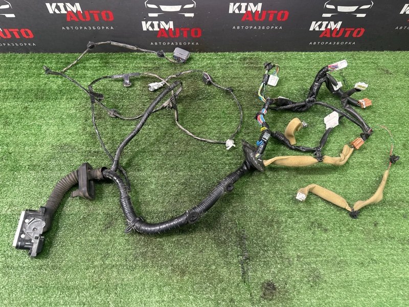 Проводка двери Nissan Murano 2008 Z51