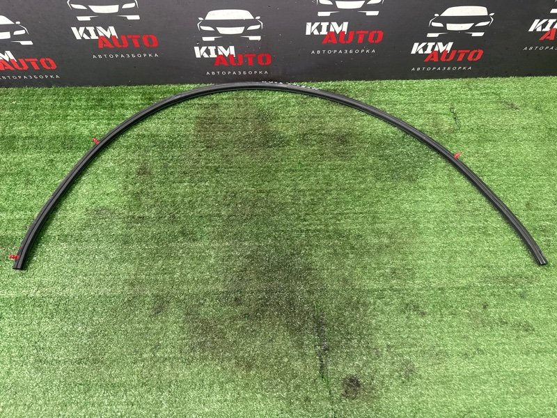 Уплотнитель жабо Nissan Murano 2008 Z51