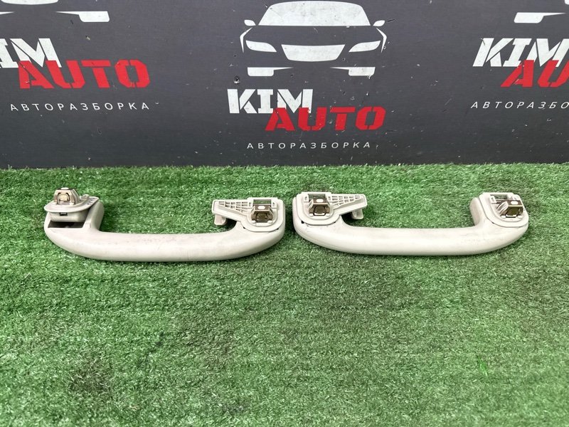 Ручка потолка салона Nissan Murano 2008 Z51