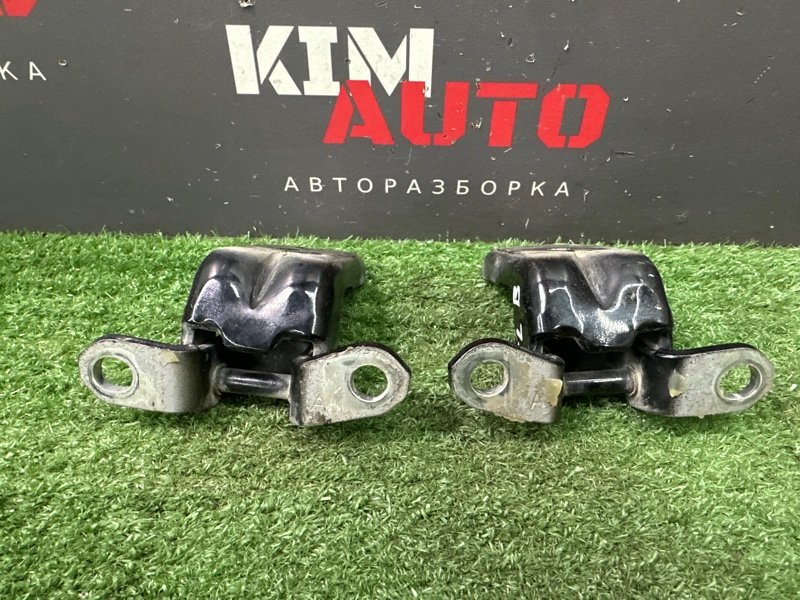 Петли двери Nissan Murano 2008 Z51