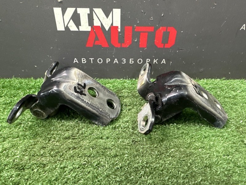 Петли двери Nissan Murano 2008 Z51