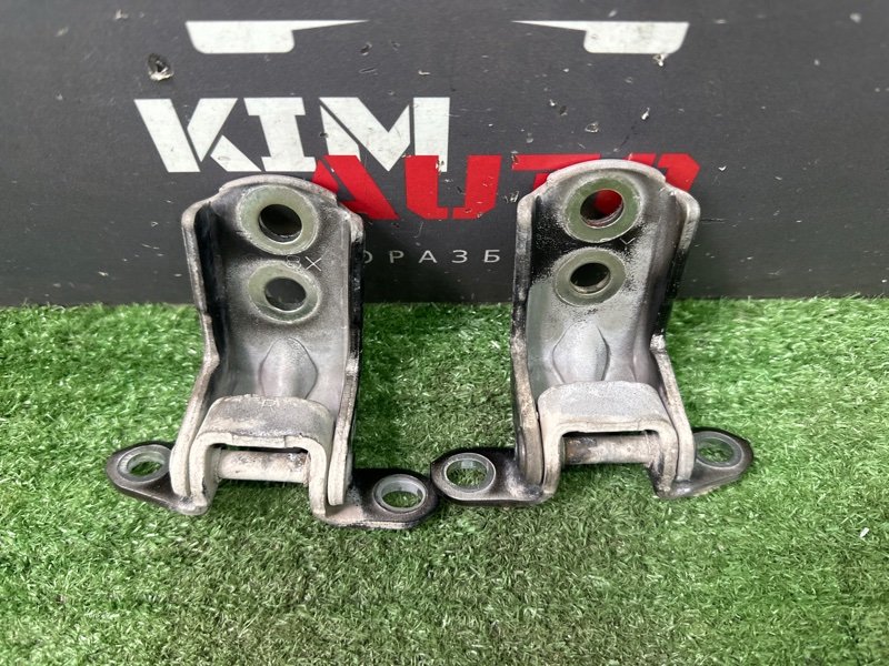 Петли двери Nissan Murano 2008 Z51