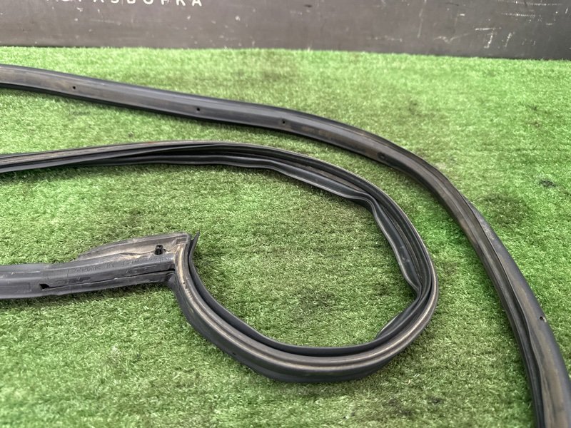 Уплотнитель двери Nissan Murano 2008 Z51